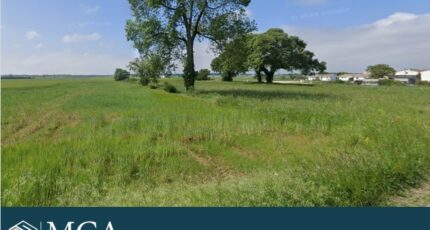 Saujon Terrain à bâtir - 2450786-11784annonce120260309Jzz65.jpeg Maisons Open