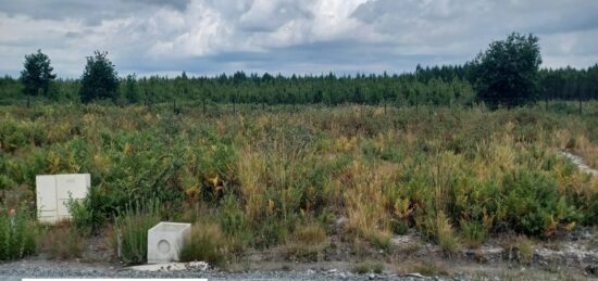 Terrain à bâtir à Mios, Nouvelle-Aquitaine