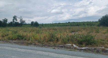 Mios Terrain à bâtir - 2484509-3127annonce120240719lTgTy.jpeg Maisons Open