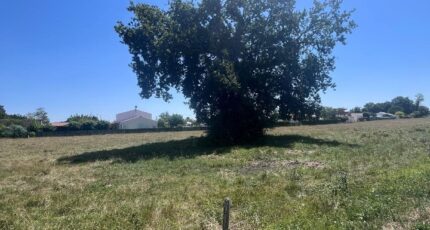 Saujon Terrain à bâtir - 2383259-11452annonce220260106ZxrVI.jpeg Maisons Open