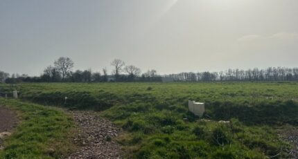 Isigny-sur-Mer Terrain à bâtir - 2484894-11660annonce120260414CqQHU.jpeg Maisons Open