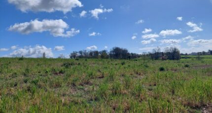 Verfeil Terrain à bâtir - 2483967-5604annonce1202604131Z5NL.jpeg Maisons Open