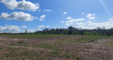 Verfeil Terrain à bâtir - 2483967-5604annonce420260413iwp2h.jpeg Maisons Open