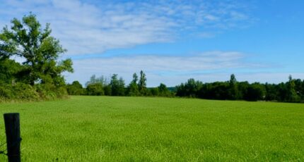 Sallebœuf Terrain à bâtir - 2485025-11686annonce120260306U17Zu.jpeg Maisons Open