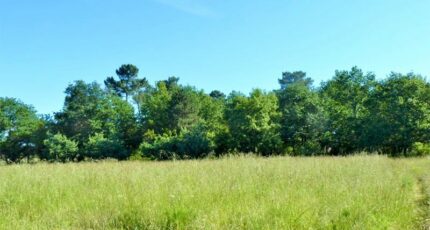 Parentis-en-Born Terrain à bâtir - 2485039-11686annonce120260415orSsB.jpeg Maisons Open