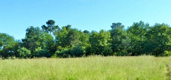 Terrain à bâtir à Arès, Nouvelle-Aquitaine