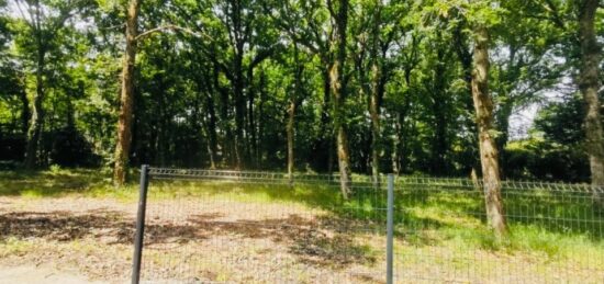 Terrain à bâtir à Audenge, Nouvelle-Aquitaine