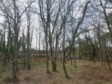  2485076-11686annonce1202602171AaN9.jpeg Maisons Open