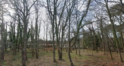 Hourtin Terrain à bâtir - 2485076-11686annonce1202602171AaN9.jpeg Maisons Open