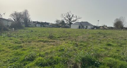 Couvains Terrain à bâtir - 2485179-11660annonce1202604145iiQJ.jpeg Maisons Open