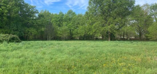 Terrain à bâtir à , Gironde