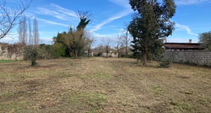 Saint-Vivien-de-Médoc Terrain à bâtir - 2440978-10624annonce120260225MwJLn.jpeg Maisons Open