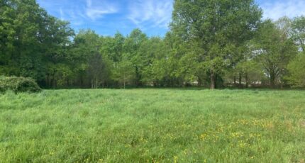 Vensac Terrain à bâtir - 2410319-10624annonce120260414ehPV2.jpeg Maisons Open