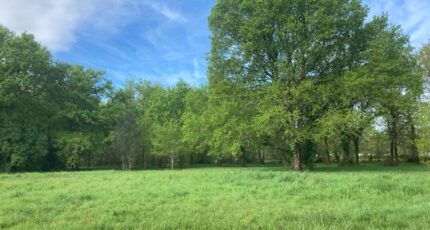 Vensac Terrain à bâtir - 2410319-10624annonce220260414TKml6.jpeg Maisons Open