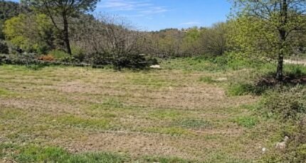 Saint-Maximin-la-Sainte-Baume Terrain à bâtir - 2485322-11039annonce120260414odxHc.jpeg Maisons Open