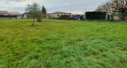 Villebrumier Terrain à bâtir - 2484093-5604annonce3202604139z2ta.jpeg Maisons Open