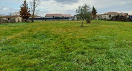 Villebrumier Terrain à bâtir - 2484093-5604annonce420260413xgvaI.jpeg Maisons Open