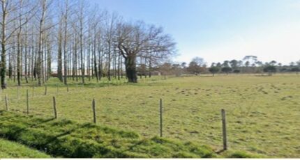 Saint-Savin Terrain à bâtir - 2483423-11516annonce120260413zuDRO.jpeg Maisons Open