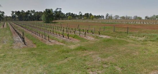 Terrain à bâtir à Saint-Savin, Nouvelle-Aquitaine