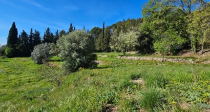 Fayence Terrain à bâtir - 2485404-11719annonce3202604154Dfde.jpeg Maisons Open