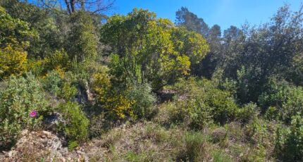 Bagnols-en-Forêt Terrain à bâtir - 2485425-11719annonce120260415LqvSS.jpeg Maisons Open