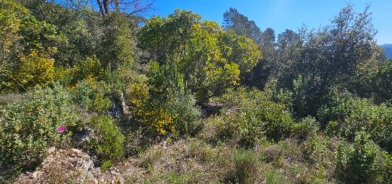Terrain à bâtir à Bagnols-en-Forêt, Provence-Alpes-Côte d'Azur