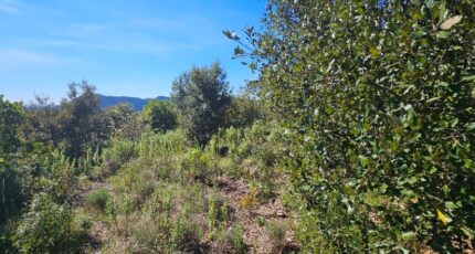 Bagnols-en-Forêt Terrain à bâtir - 2485425-11719annonce320260415aGX0E.jpeg Maisons Open