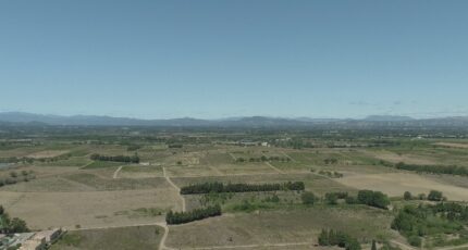 Ponteilla Terrain à bâtir - 2485517-4671annonce120260415Jae2i.jpeg Maisons Open