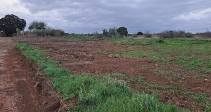 Fos-sur-Mer Terrain à bâtir - 2485721-11041annonce220260415szBDd.jpeg Maisons Open