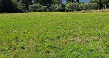 Pertuis Terrain à bâtir - 2485761-11041annonce120260415E4qLU.jpeg Maisons Open