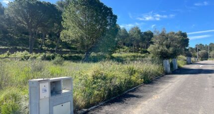 Caveirac Terrain à bâtir - 2485860-11833annonce220260415T9rnz.jpeg Maisons Open