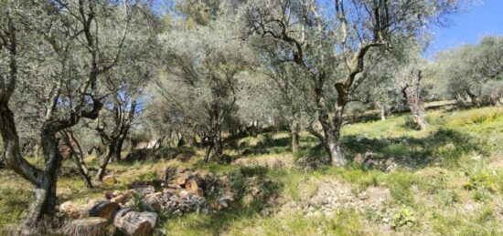 Terrain à bâtir à Saint-Martin-du-Var, Provence-Alpes-Côte d'Azur