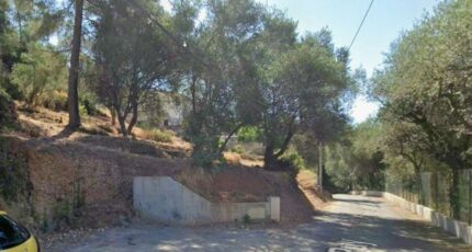 Saint-Martin-du-Var Terrain à bâtir - 2439830-3059annonce220260224ZX8pg.jpeg Maisons Open