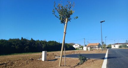 Saint-Yrieix-sur-Charente Terrain à bâtir - 2455616-11800annonce320260312XxCk7.jpeg Maisons Open