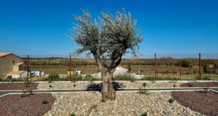 Servian Terrain à bâtir - 2485993-11018annonce520260415gKfgf.jpeg Maisons Open