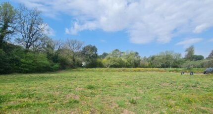 Puget-sur-Argens Terrain à bâtir - 2486297-9911annonce3202604151CUde.jpeg Maisons Open