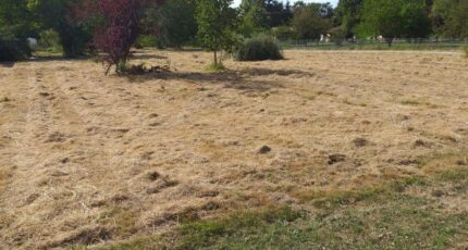 Saint-Vivien-de-Médoc Terrain à bâtir - 2486224-10624annonce120260415cRw52.jpeg Maisons Open