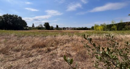 Carpentras Terrain à bâtir - 2486315-617annonce3202412123CgG1.jpeg Maisons Open