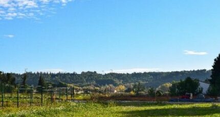 Domazan Terrain à bâtir - 2486308-617annonce120241212mRHND.jpeg Maisons Open