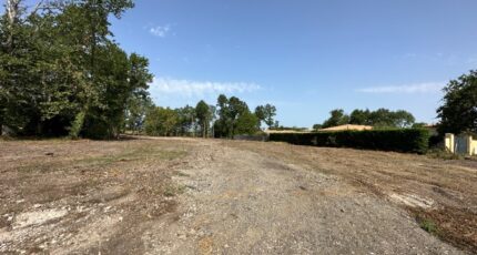 Martillac Terrain à bâtir - 2486500-10657annonce220260415xtygK.jpeg Maisons Open