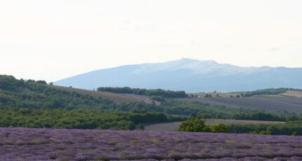 Saint-Christol Terrain à bâtir - 2486523-617annonce2202604153a9ND.jpeg Maisons Open