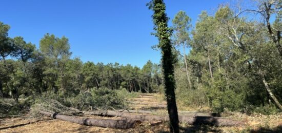 Terrain à bâtir à Suze-la-Rousse, Auvergne-Rhône-Alpes