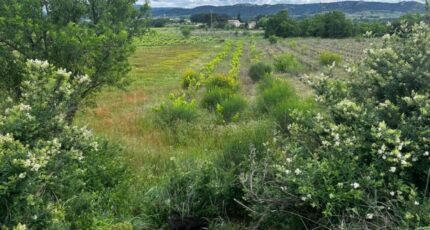 Sabran Terrain à bâtir - 2486563-617annonce2202604150lNmX.jpeg Maisons Open