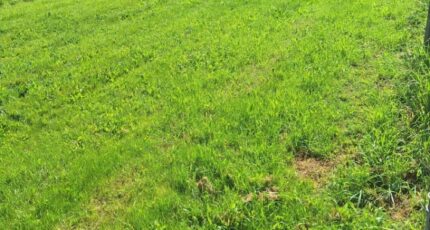 Finhan Terrain à bâtir - 2485947-3575annonce120260415zMfPX.jpeg Maisons Open