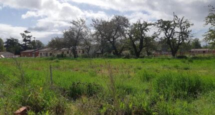 Dieupentale Terrain à bâtir - 2485505-5202annonce320260415qT6EM.jpeg Maisons Open