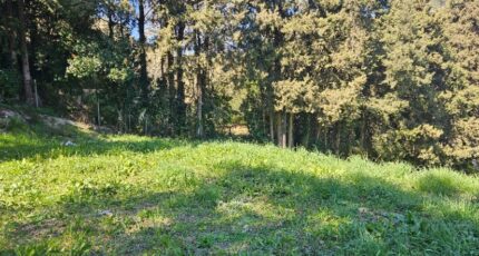 Mougins Terrain à bâtir - 2486576-11719annonce1202604156mxNK.jpeg Maisons Open