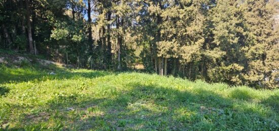 Terrain à bâtir à Mougins, Provence-Alpes-Côte d'Azur