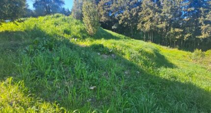 Mougins Terrain à bâtir - 2486576-11719annonce220260415hIrcn.jpeg Maisons Open