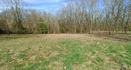 Montaigut-sur-Save Terrain à bâtir - 2484252-10327annonce120260413OPdLq.jpeg Maisons Open