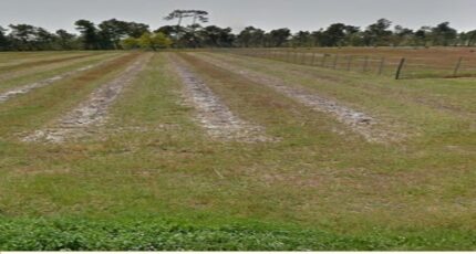 Saint-Savin Terrain à bâtir - 2483311-11516annonce120260413rsZlo.jpeg Maisons Open